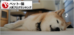 猫ランキング