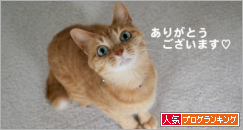 人気ブログランキング