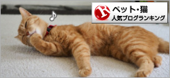 猫ランキング