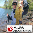 バス釣りランキング
