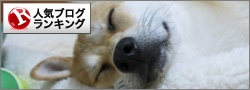 人気ブログランキング