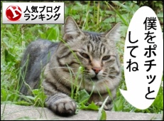 人気ブログランキング