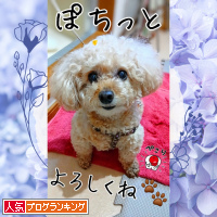 人気ブログランキング