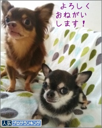 人気ブログランキング