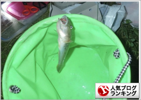 人気ブログランキング