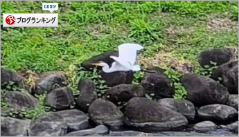 人気ブログランキング