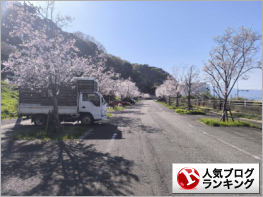 人気ブログランキング