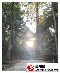 高知県ランキング