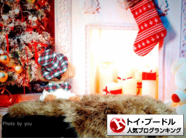 トイ・プードルランキング