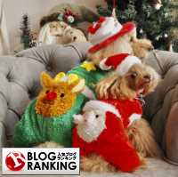 人気ブログランキング