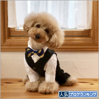 人気ブログランキング