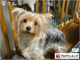 人気ブログランキング