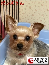 人気ブログランキング
