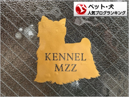 ペット(犬)ランキング