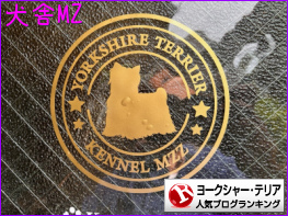 ヨークシャー・テリアランキング