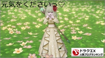 福の神 最速討伐を目指して ドラクエ10 にゃんにゃんドレア講座