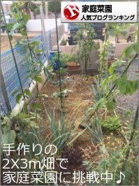 家庭菜園ランキング