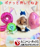 カニンヘン・ダックスフンドランキング