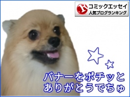 コミックエッセイランキング