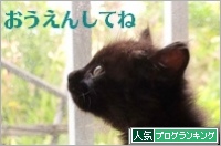 人気ブログランキング