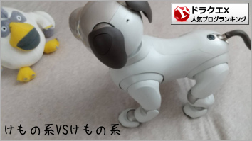 ドラゴンクエストXランキング