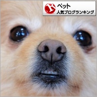 ペットランキング
