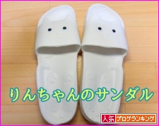 人気ブログランキング