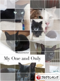 人気ブログランキング