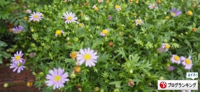 人気ブログランキング