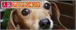 人気ブログランキング