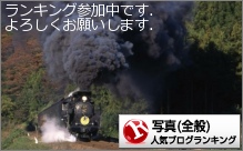 全般ランキング