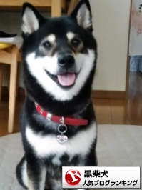 ワクチンは不要に 新型コロナウイルス１００ 防御に成功 長崎大学発表 武田先生のyout 東大阪 瓢箪山 和の空間フロア らん 大切な家族 愛犬 の為に出来る事