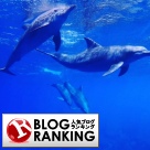人気ブログランキング