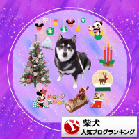 柴犬ランキング