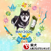 柴犬ランキング