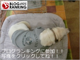 人気ブログランキング