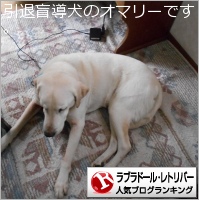 ラブラドール・レトリバーランキング