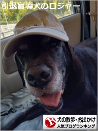 お散歩・お出かけランキング