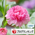 人気ブログランキング