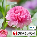 人気ブログランキング