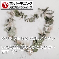 花・ガーデニングランキング