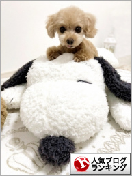 人気ブログランキング
