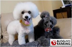 人気ブログランキング