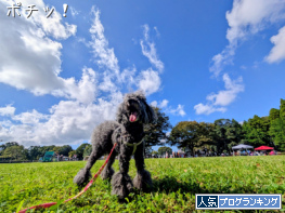 人気ブログランキング