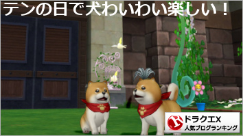 ドラゴンクエストXランキング