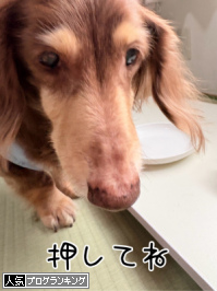 人気ブログランキング