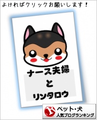 ペット(犬)ランキング