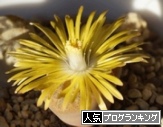 人気ブログランキング