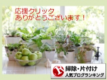 掃除・片付けランキング