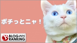 人気ブログランキング